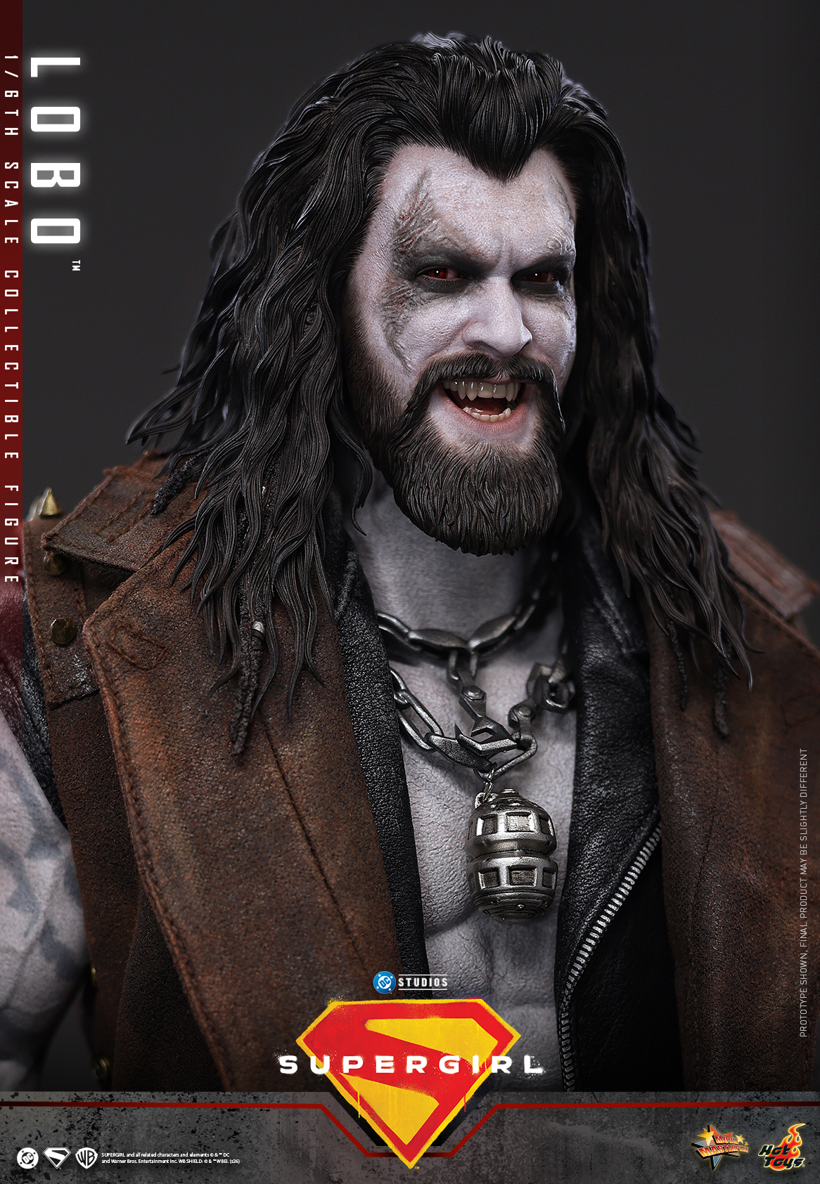 Hottoys - Supergirl Lobo 1/6th scale Collectible Figure MMS890 (Licensed) - Image 10
